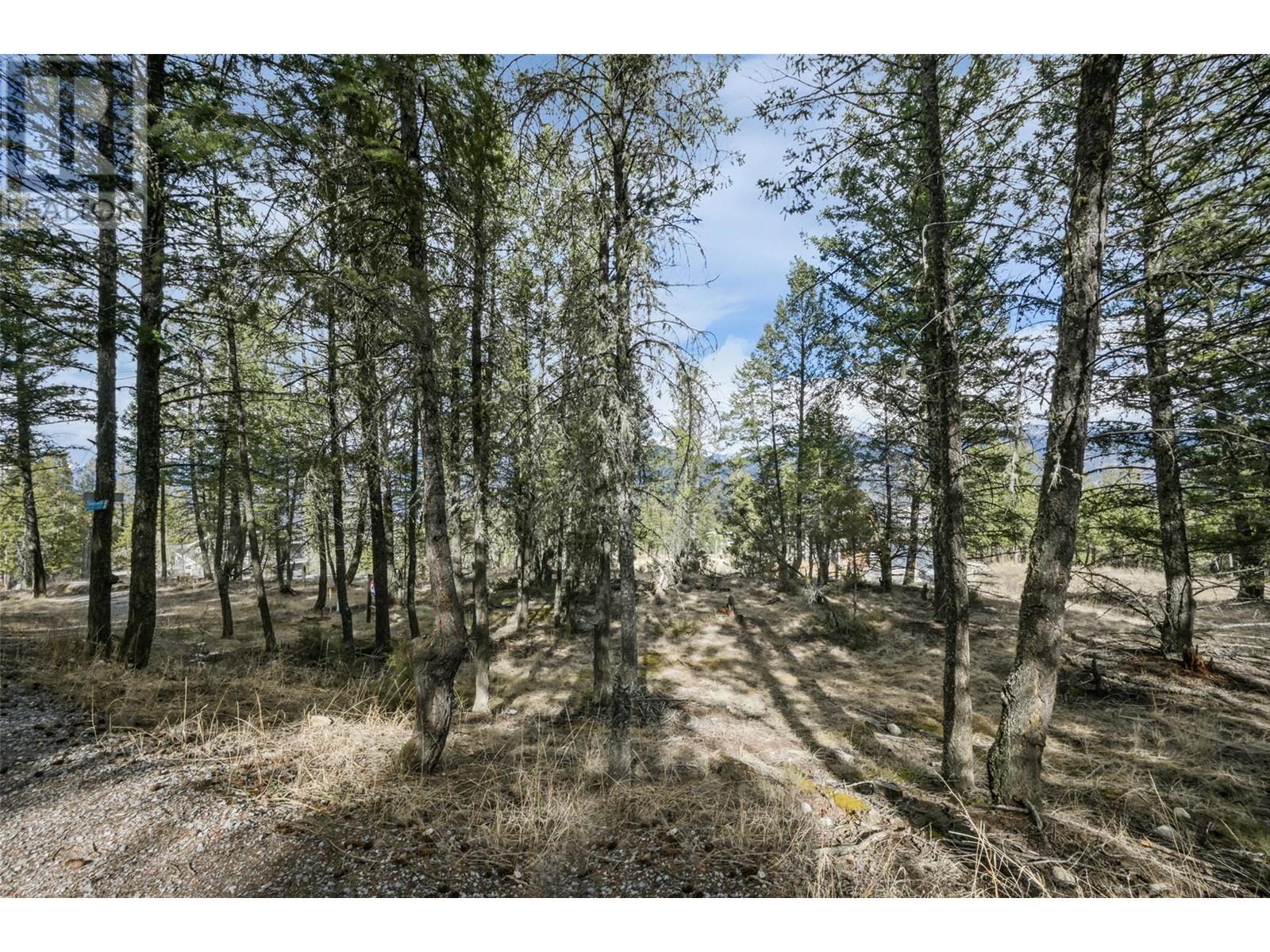 Lot 49 Pine Ridge Mountain Place, Invermere, British Columbia  V0A 1K4 - Photo 12 - 10344907