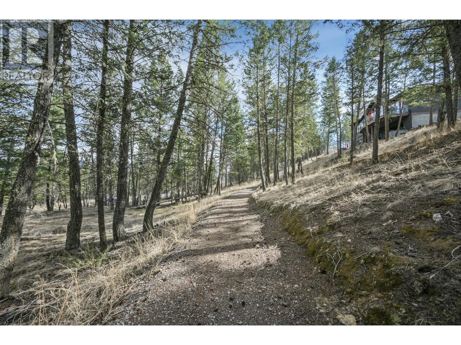 Lot 49 Pine Ridge Mountain Place, Invermere, British Columbia  V0A 1K4 - Photo 13 - 10344907