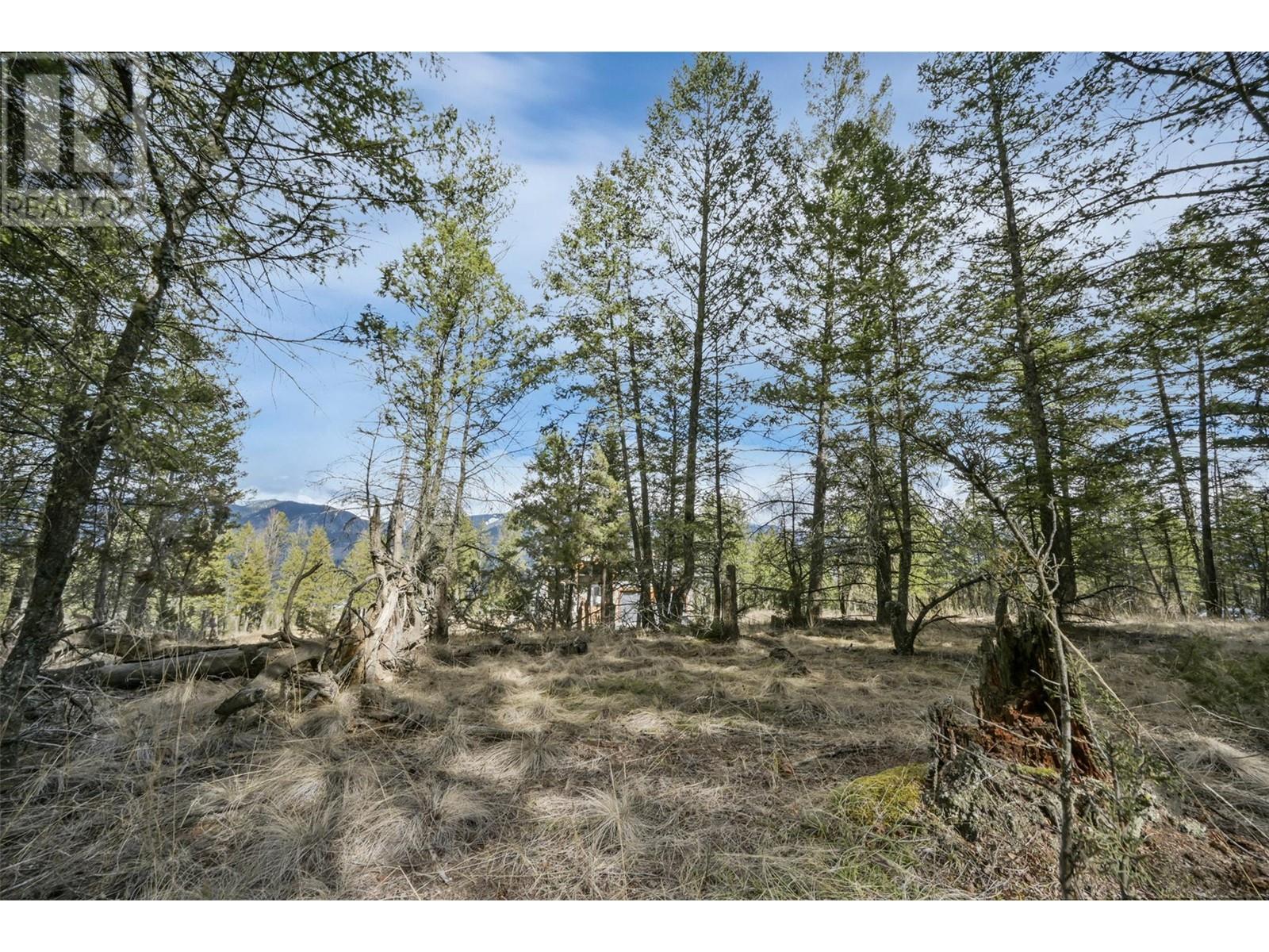 Lot 49 Pine Ridge Mountain Place, Invermere, British Columbia  V0A 1K4 - Photo 14 - 10344907