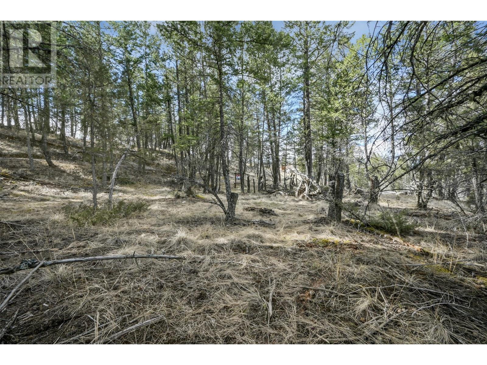 Lot 49 Pine Ridge Mountain Place, Invermere, British Columbia  V0A 1K4 - Photo 15 - 10344907