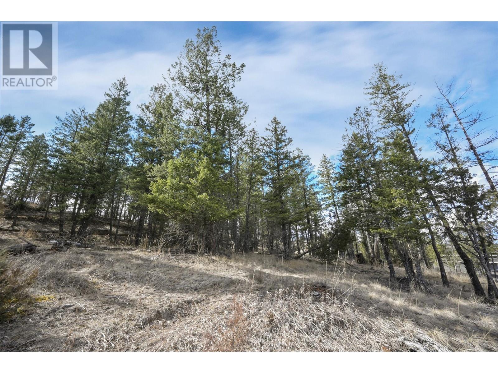 Lot 49 Pine Ridge Mountain Place, Invermere, British Columbia  V0A 1K4 - Photo 16 - 10344907