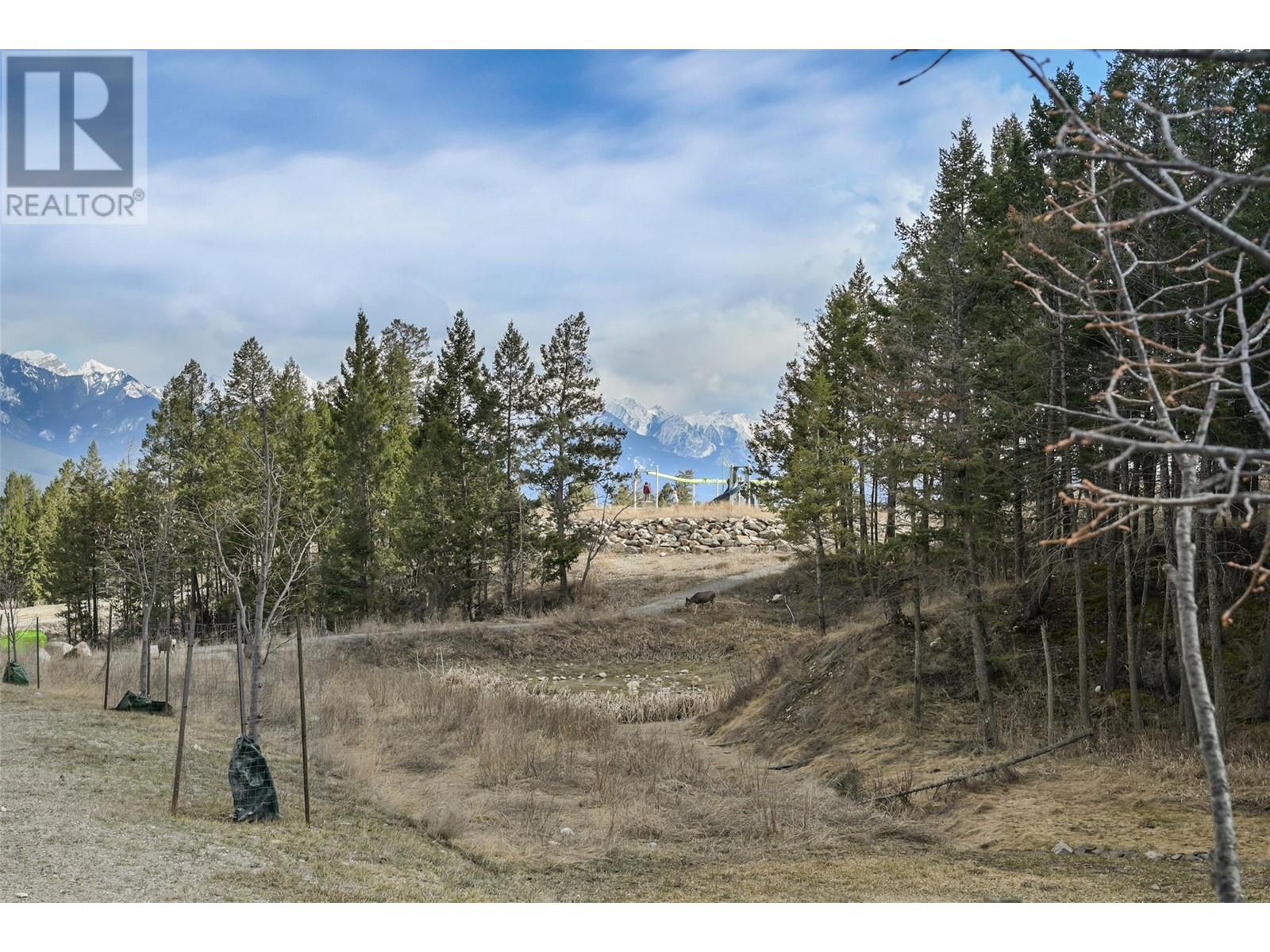 Lot 49 Pine Ridge Mountain Place, Invermere, British Columbia  V0A 1K4 - Photo 18 - 10344907