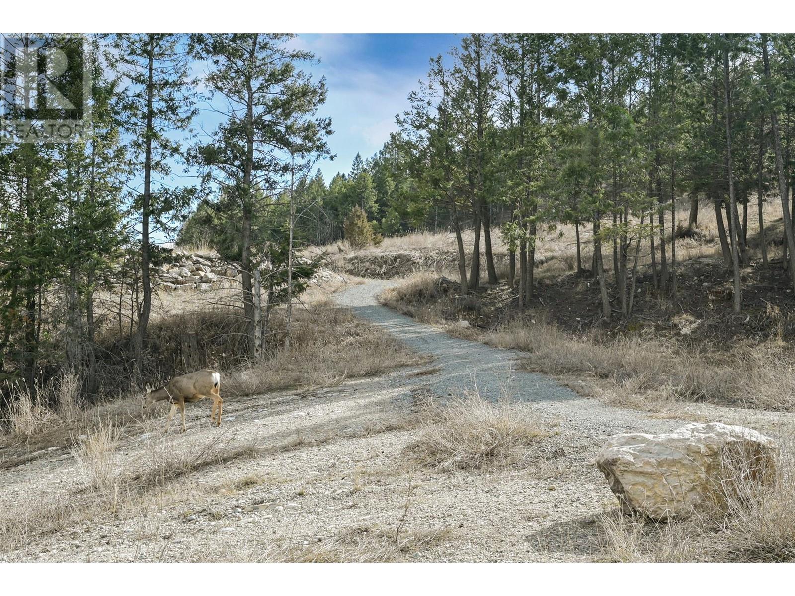Lot 49 Pine Ridge Mountain Place, Invermere, British Columbia  V0A 1K4 - Photo 22 - 10344907