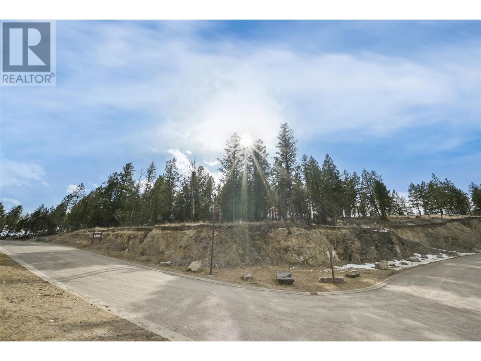 Lot 49 Pine Ridge Mountain Place, Invermere, British Columbia  V0A 1K4 - Photo 3 - 10344907