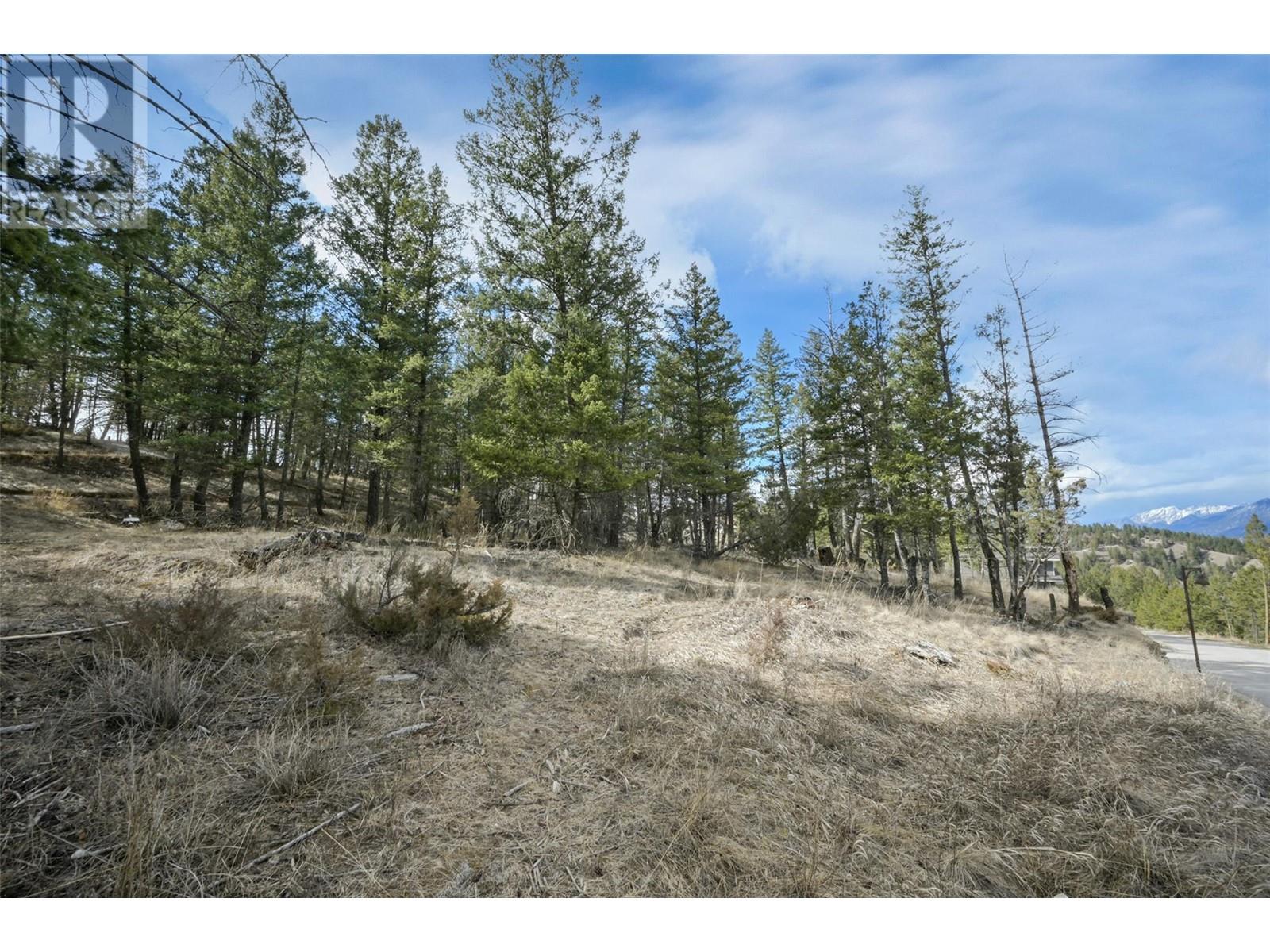 Lot 49 Pine Ridge Mountain Place, Invermere, British Columbia  V0A 1K4 - Photo 4 - 10344907