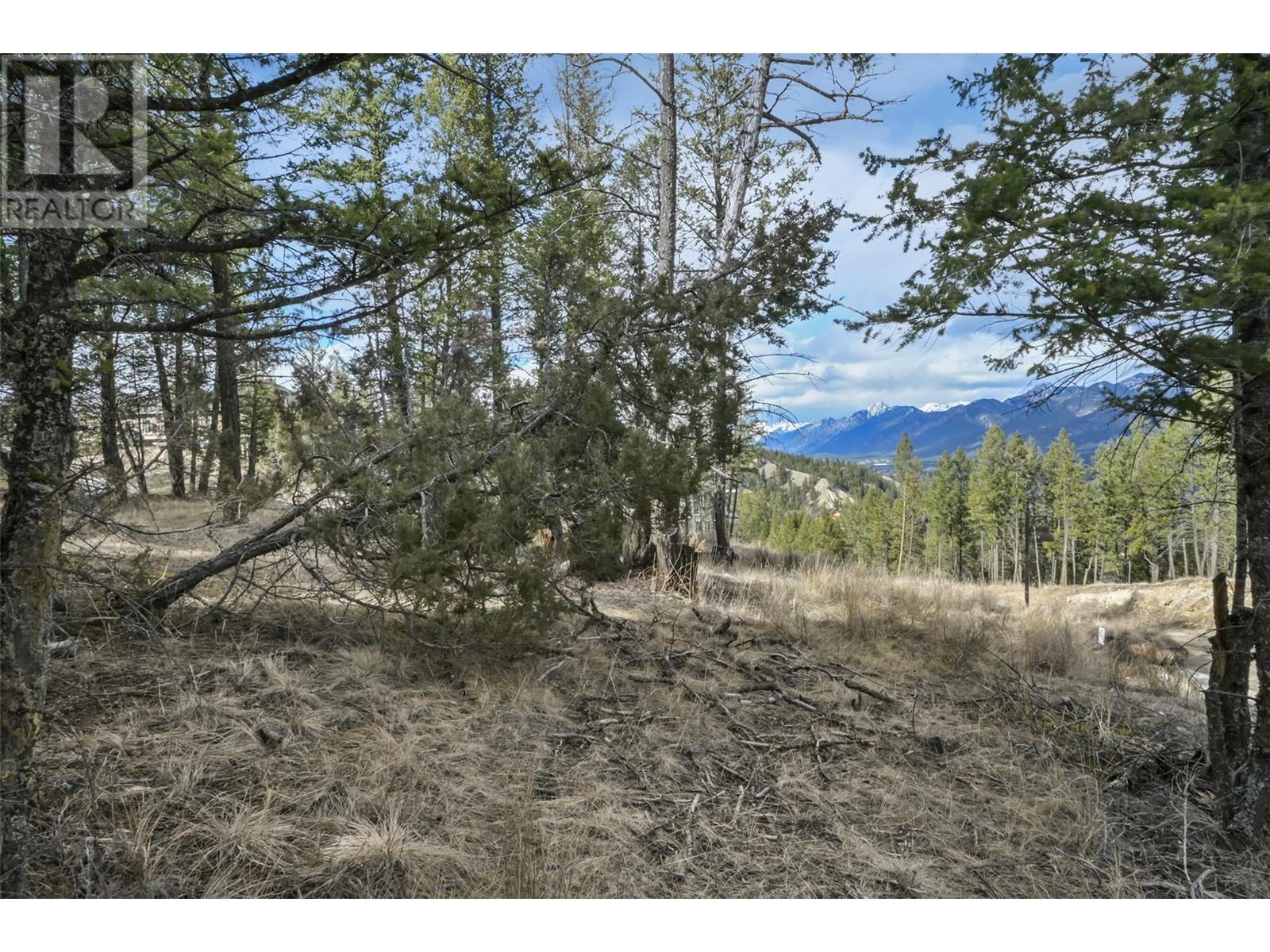 Lot 49 Pine Ridge Mountain Place, Invermere, British Columbia  V0A 1K4 - Photo 5 - 10344907
