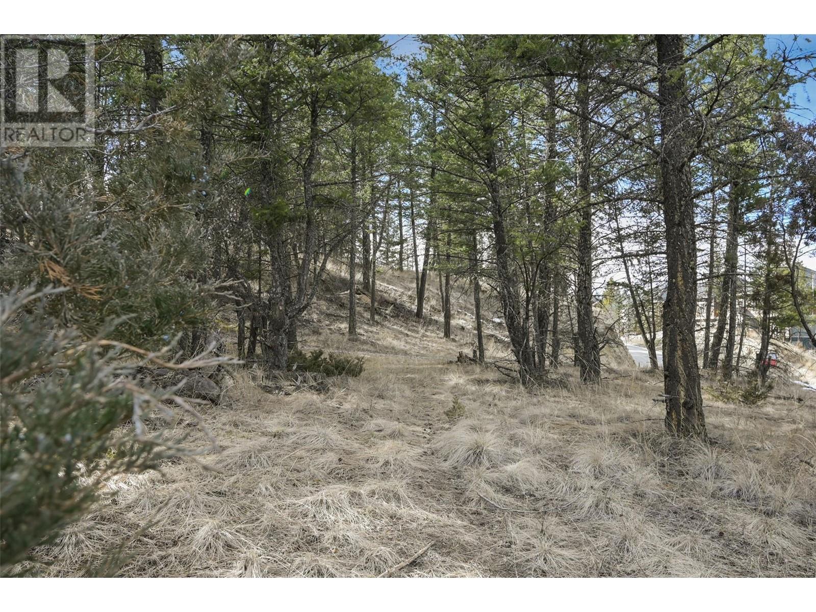 Lot 49 Pine Ridge Mountain Place, Invermere, British Columbia  V0A 1K4 - Photo 6 - 10344907