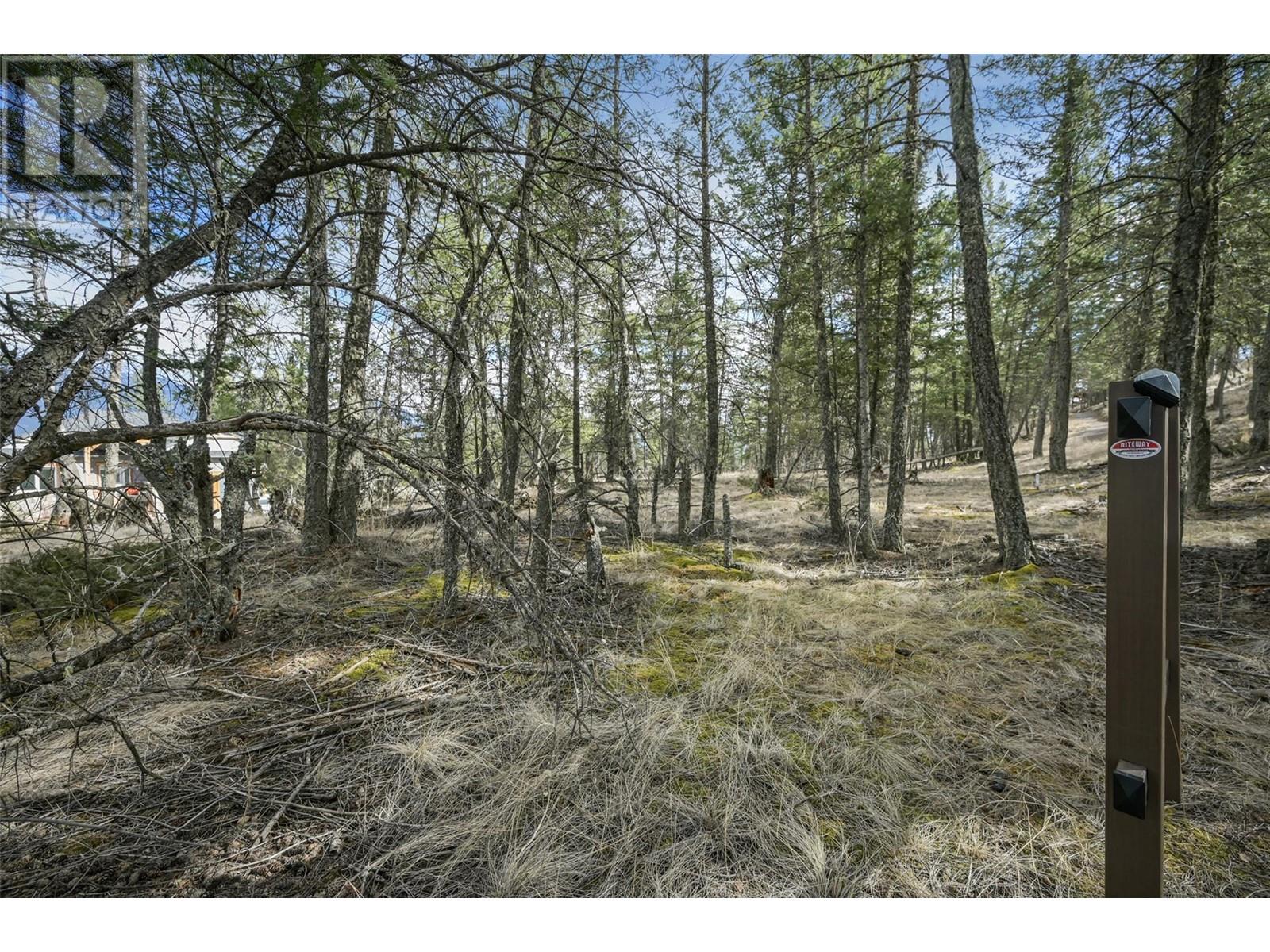 Lot 49 Pine Ridge Mountain Place, Invermere, British Columbia  V0A 1K4 - Photo 8 - 10344907
