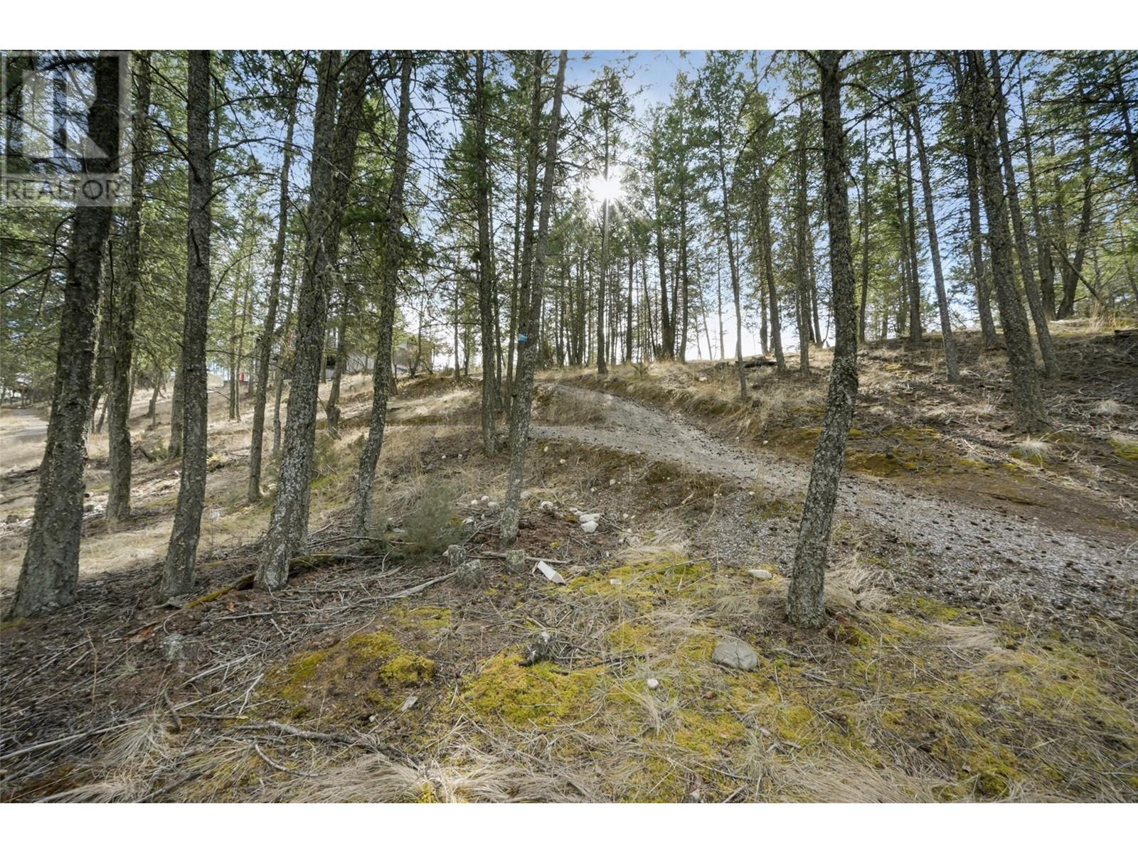 Lot 49 Pine Ridge Mountain Place, Invermere, British Columbia  V0A 1K4 - Photo 9 - 10344907