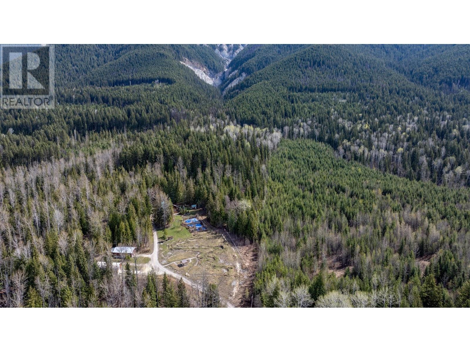 1569 Hartley Road, Golden, British Columbia  V0A 1H1 - Photo 60 - 10345423