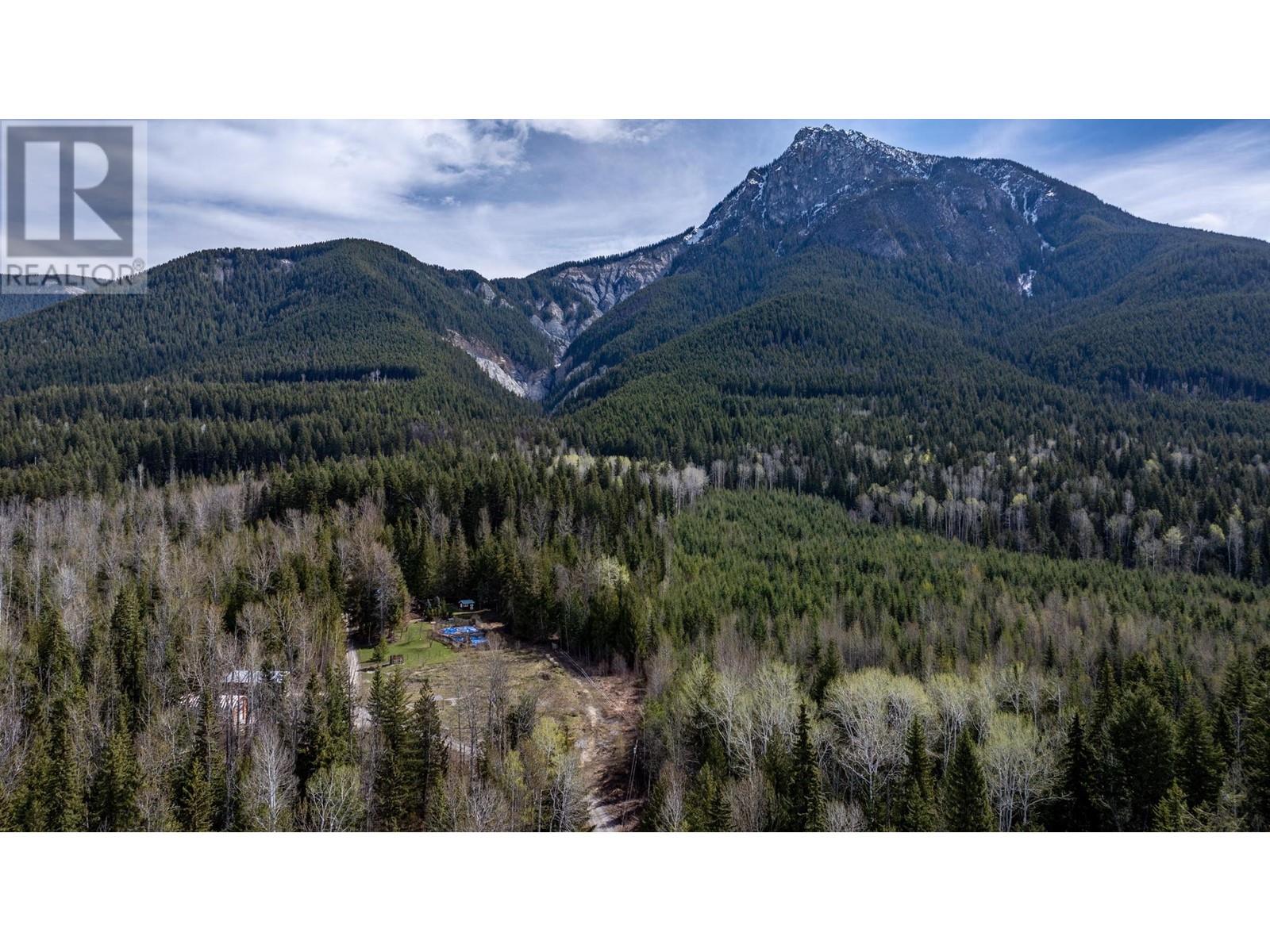 1569 Hartley Road, Golden, British Columbia  V0A 1H1 - Photo 61 - 10345423