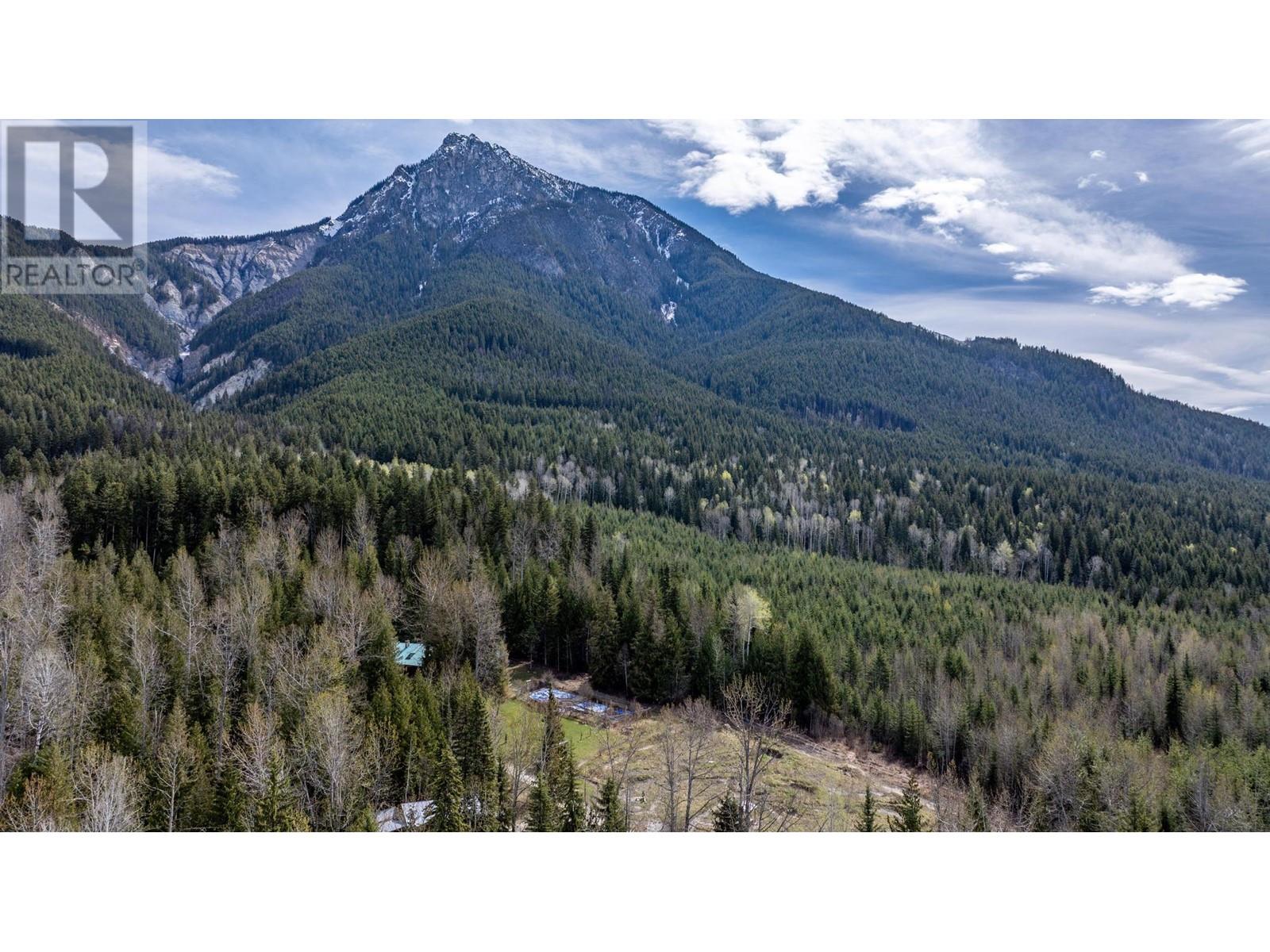 1569 Hartley Road, Golden, British Columbia  V0A 1H1 - Photo 68 - 10345423