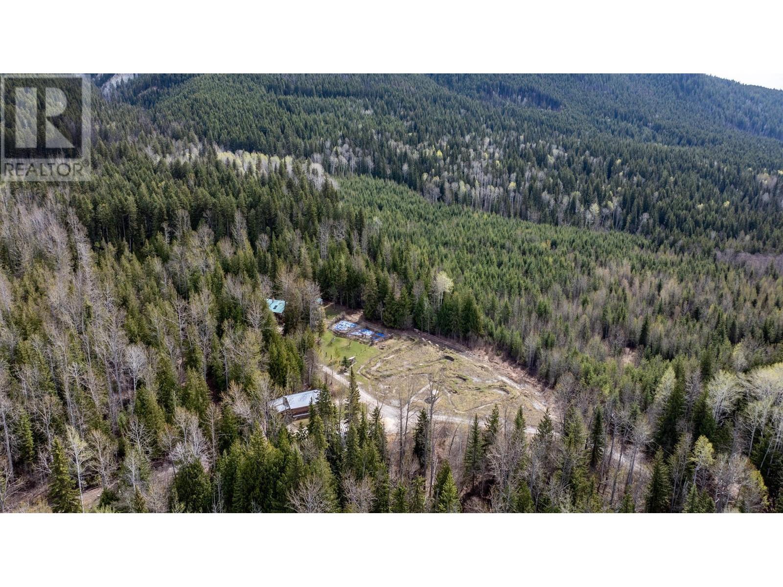 1569 Hartley Road, Golden, British Columbia  V0A 1H1 - Photo 69 - 10345423
