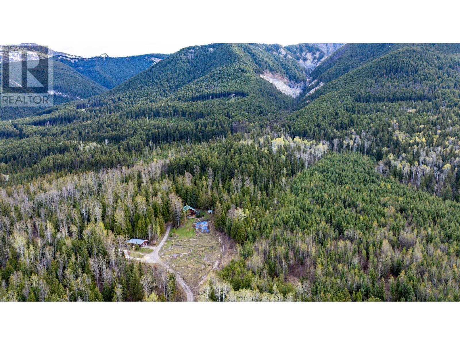 1569 Hartley Road, Golden, British Columbia  V0A 1H1 - Photo 75 - 10345423