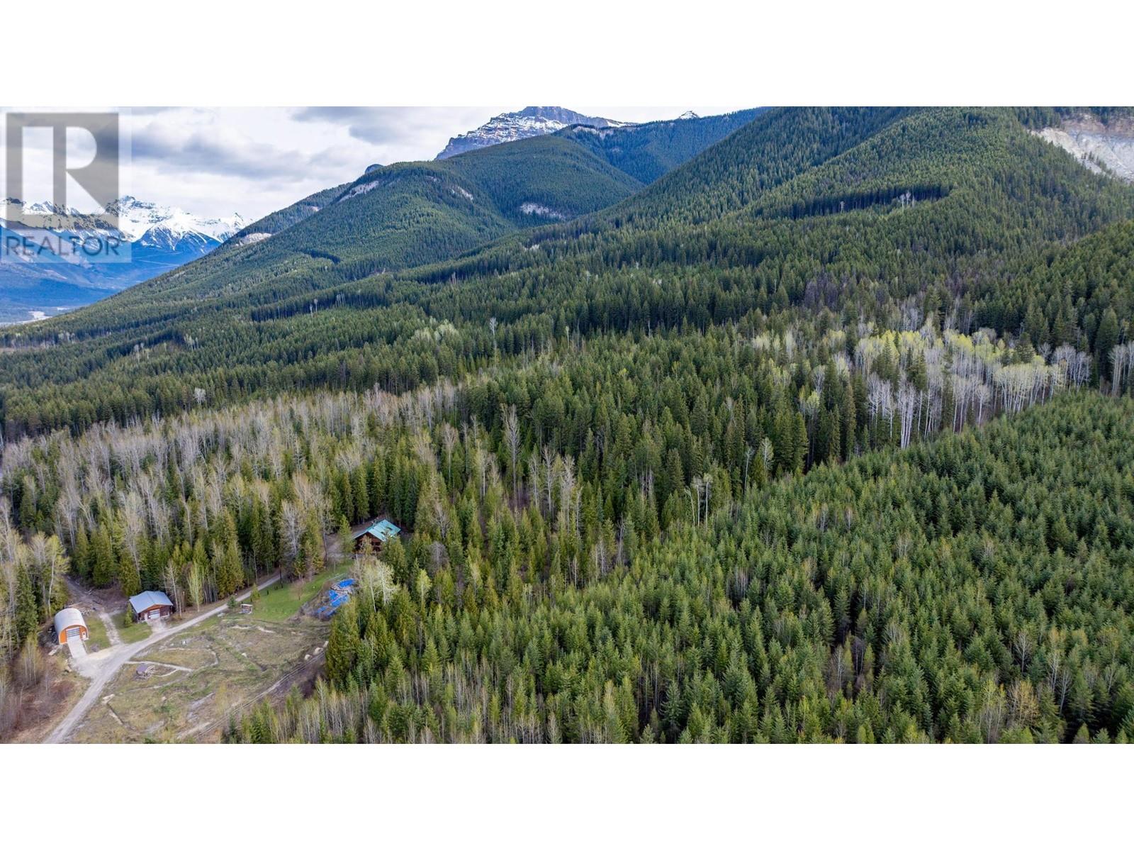 1569 Hartley Road, Golden, British Columbia  V0A 1H1 - Photo 83 - 10345423