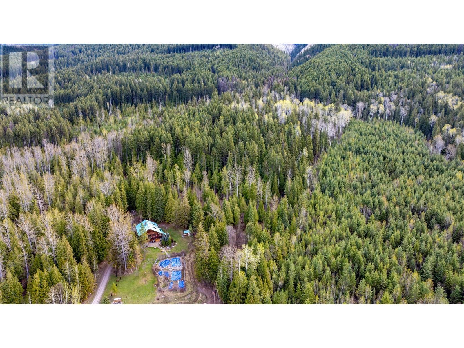 1569 Hartley Road, Golden, British Columbia  V0A 1H1 - Photo 84 - 10345423