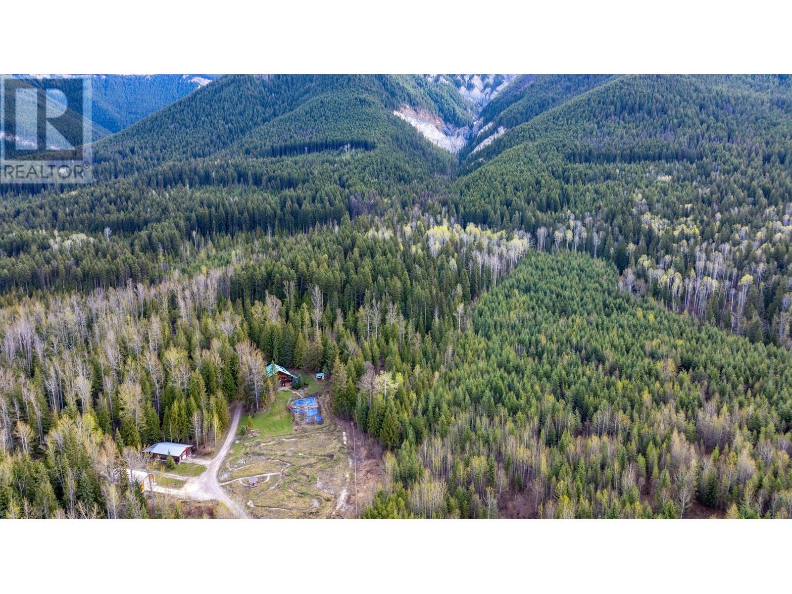 1569 Hartley Road, Golden, British Columbia  V0A 1H1 - Photo 85 - 10345423