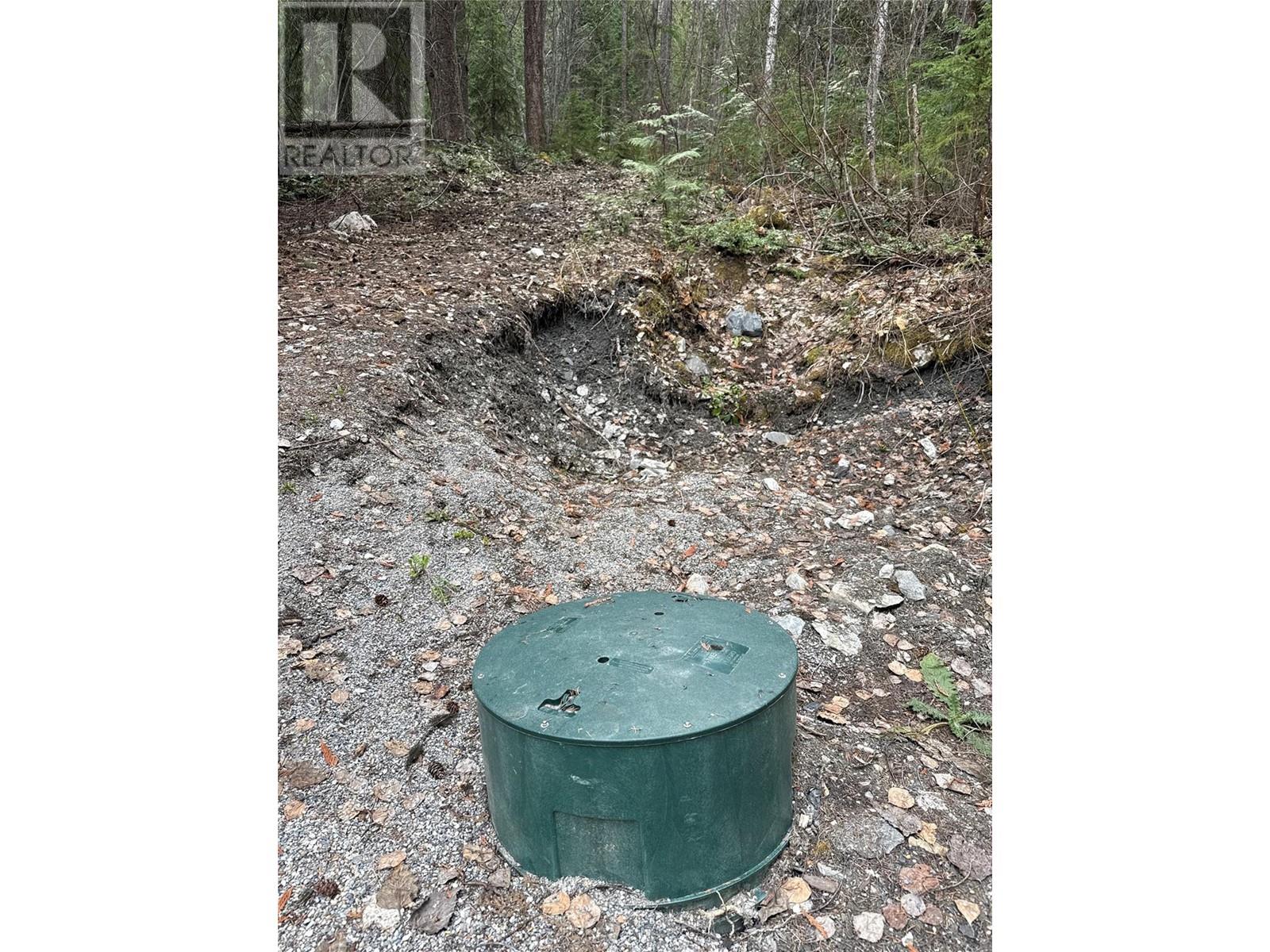 1569 Hartley Road, Golden, British Columbia  V0A 1H1 - Photo 86 - 10345423