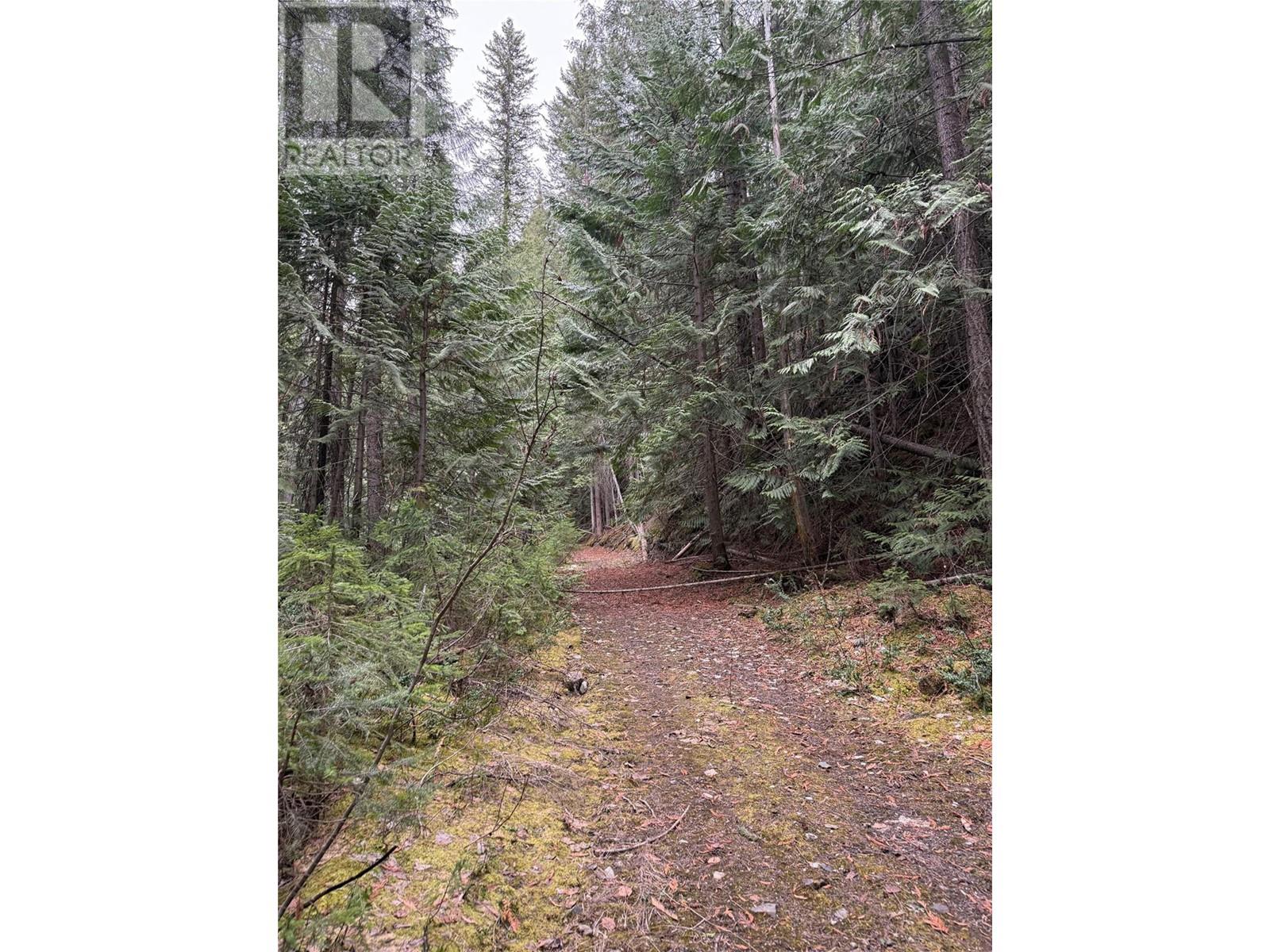 1569 Hartley Road, Golden, British Columbia  V0A 1H1 - Photo 88 - 10345423