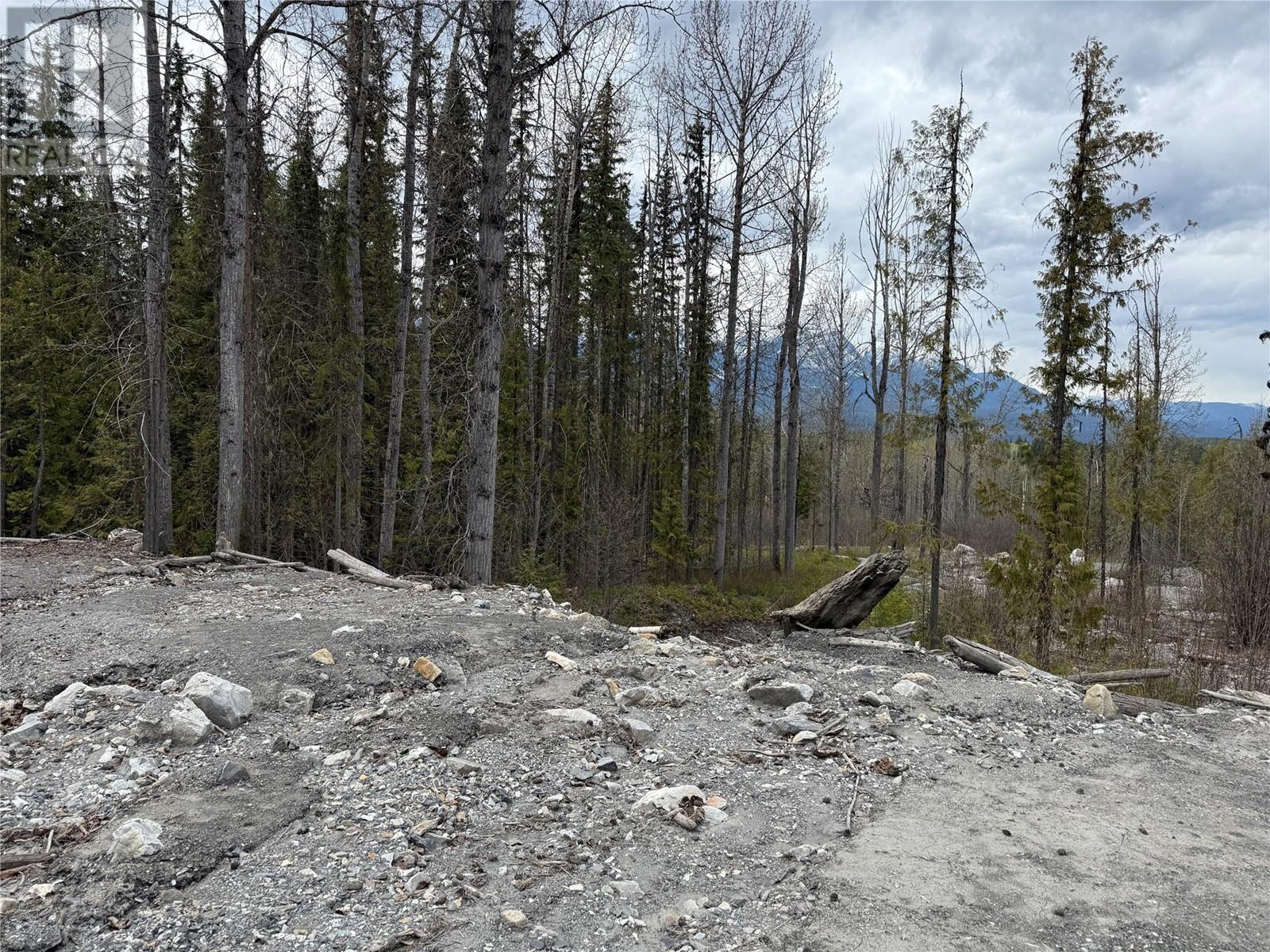 1569 Hartley Road, Golden, British Columbia  V0A 1H1 - Photo 89 - 10345423