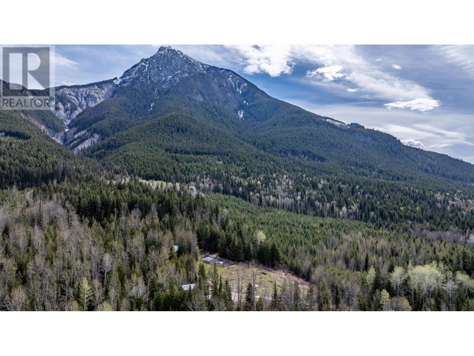 1569 Hartley Road, Golden, British Columbia  V0A 1H1 - Photo 9 - 10345423