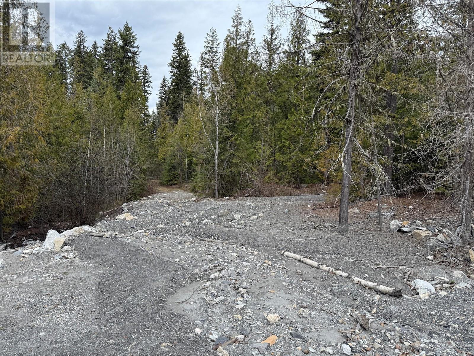 1569 Hartley Road, Golden, British Columbia  V0A 1H1 - Photo 90 - 10345423
