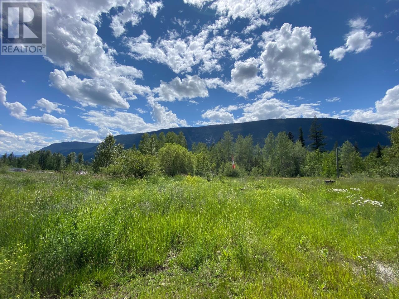 5313 95 Highway, Harrogate, British Columbia  V0A 1J0 - Photo 27 - 10346169