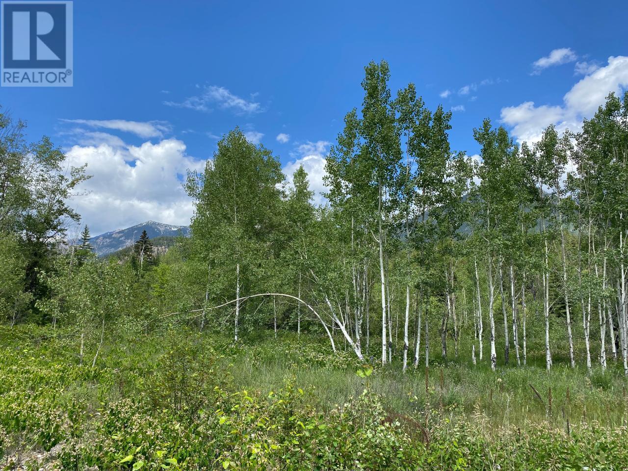 5313 95 Highway, Harrogate, British Columbia  V0A 1J0 - Photo 29 - 10346169