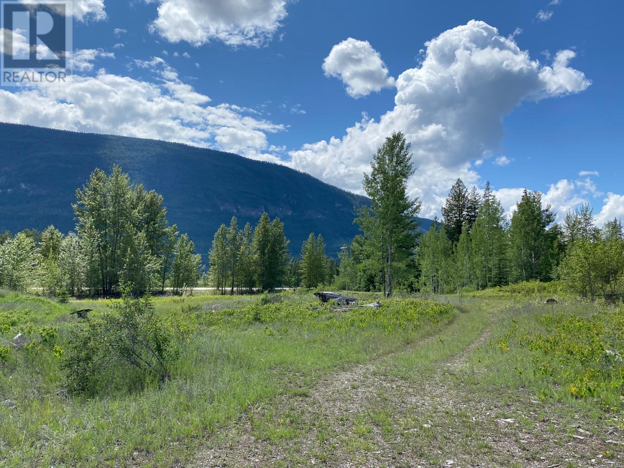 5313 95 Highway, Harrogate, British Columbia  V0A 1J0 - Photo 31 - 10346169