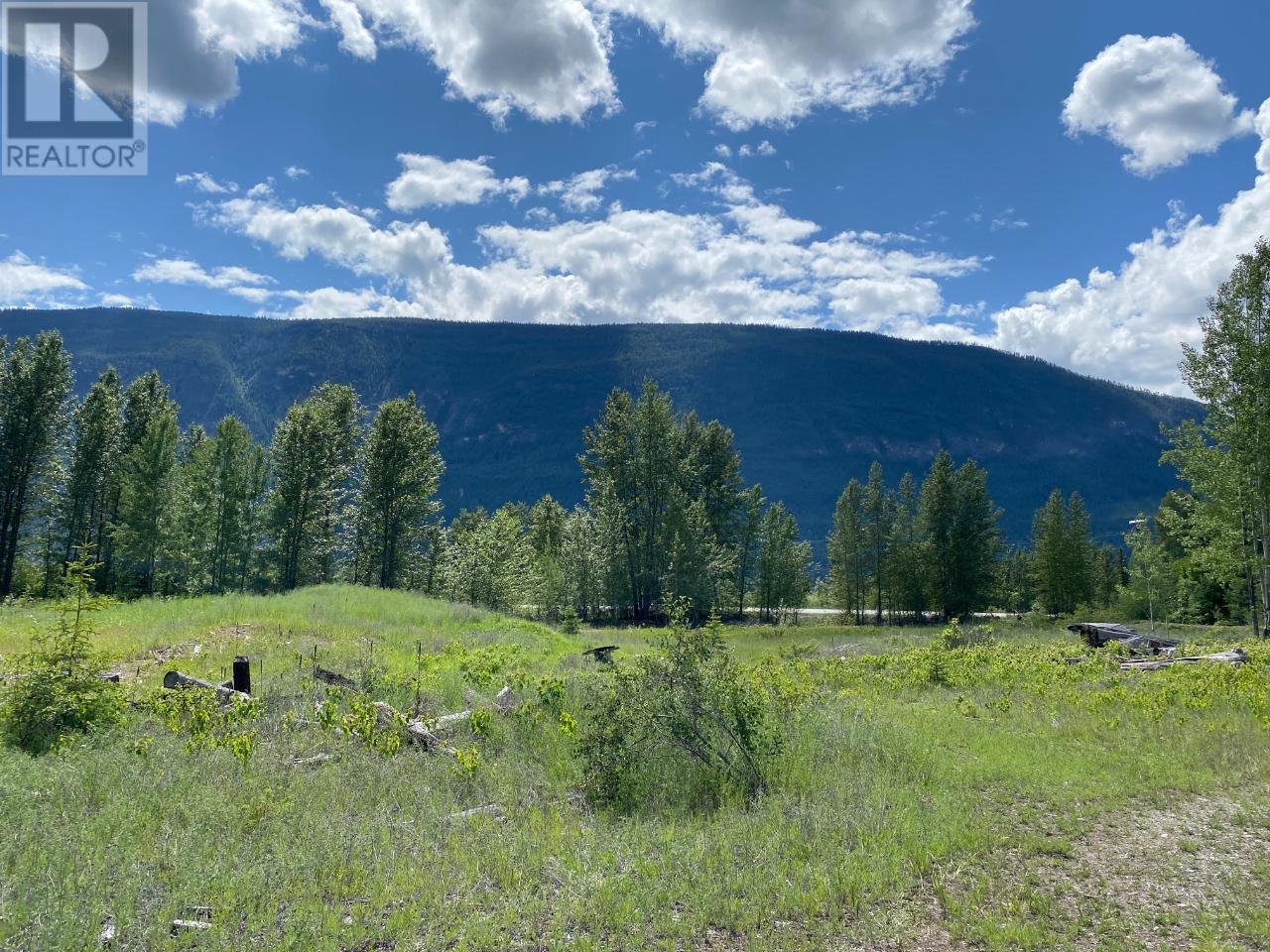 5313 95 Highway, Harrogate, British Columbia  V0A 1J0 - Photo 32 - 10346169