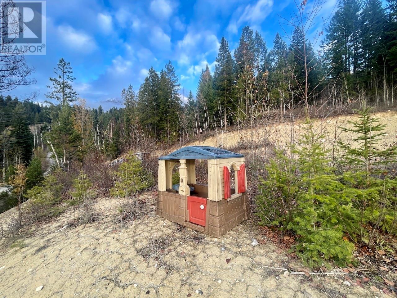 3483 95 Highway Lot# 2, Parson, British Columbia  V0A 1L0 - Photo 11 - 10346206