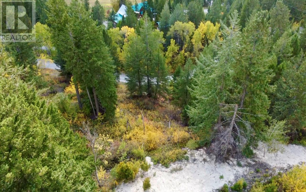 3483 95 Highway Lot# 2, Parson, British Columbia  V0A 1L0 - Photo 19 - 10346206