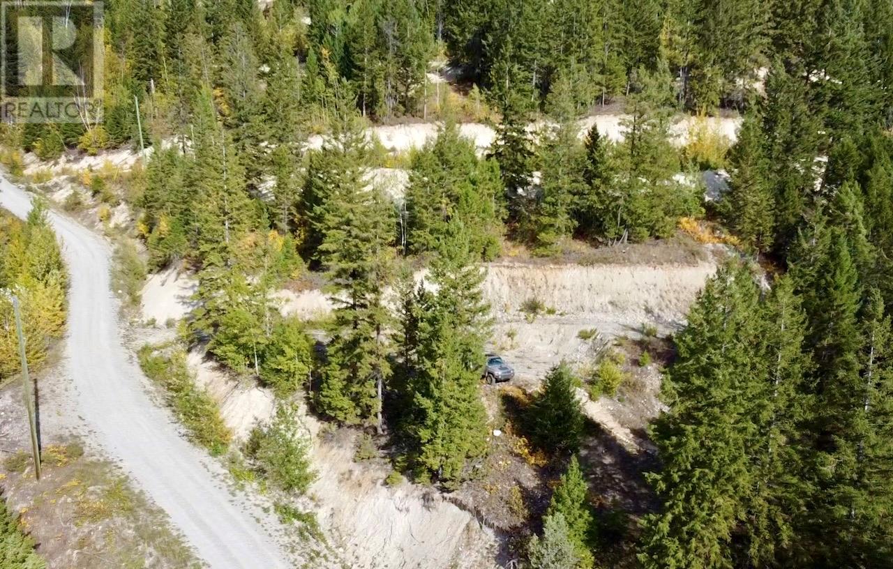 3483 95 Highway Lot# 2, Parson, British Columbia  V0A 1L0 - Photo 8 - 10346206