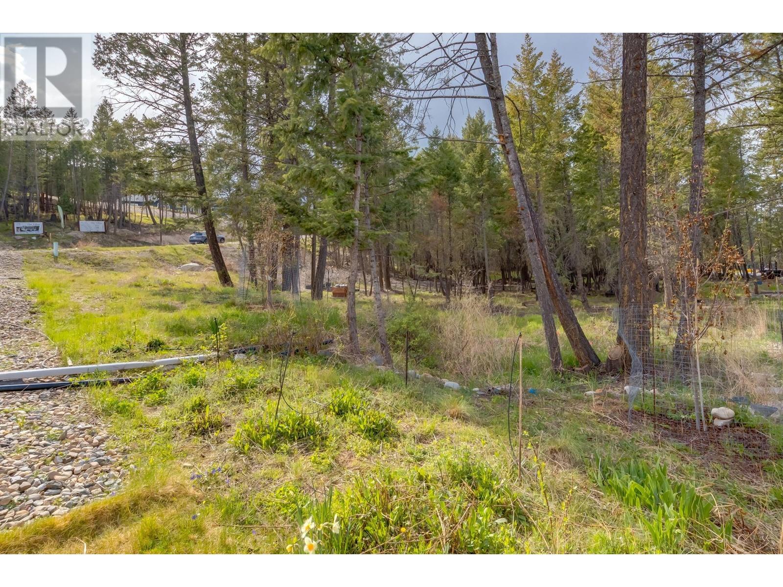 1908 Pineridge Mountain Run, Invermere, British Columbia  V0A 1K4 - Photo 82 - 10346638