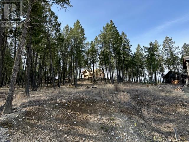 2520 Cobblestone Circle, Invermere, British Columbia  V0A 1K4 - Photo 4 - 10346767