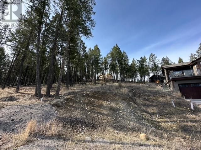 2520 Cobblestone Circle, Invermere, British Columbia  V0A 1K4 - Photo 5 - 10346767