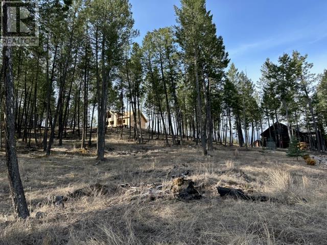 2520 Cobblestone Circle, Invermere, British Columbia  V0A 1K4 - Photo 6 - 10346767