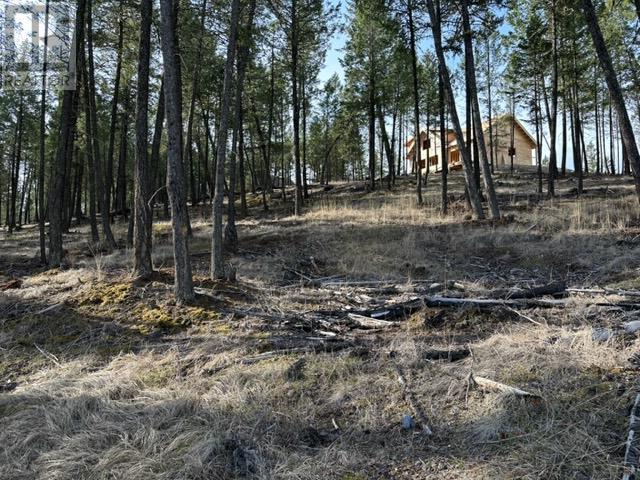 2520 Cobblestone Circle, Invermere, British Columbia  V0A 1K4 - Photo 7 - 10346767