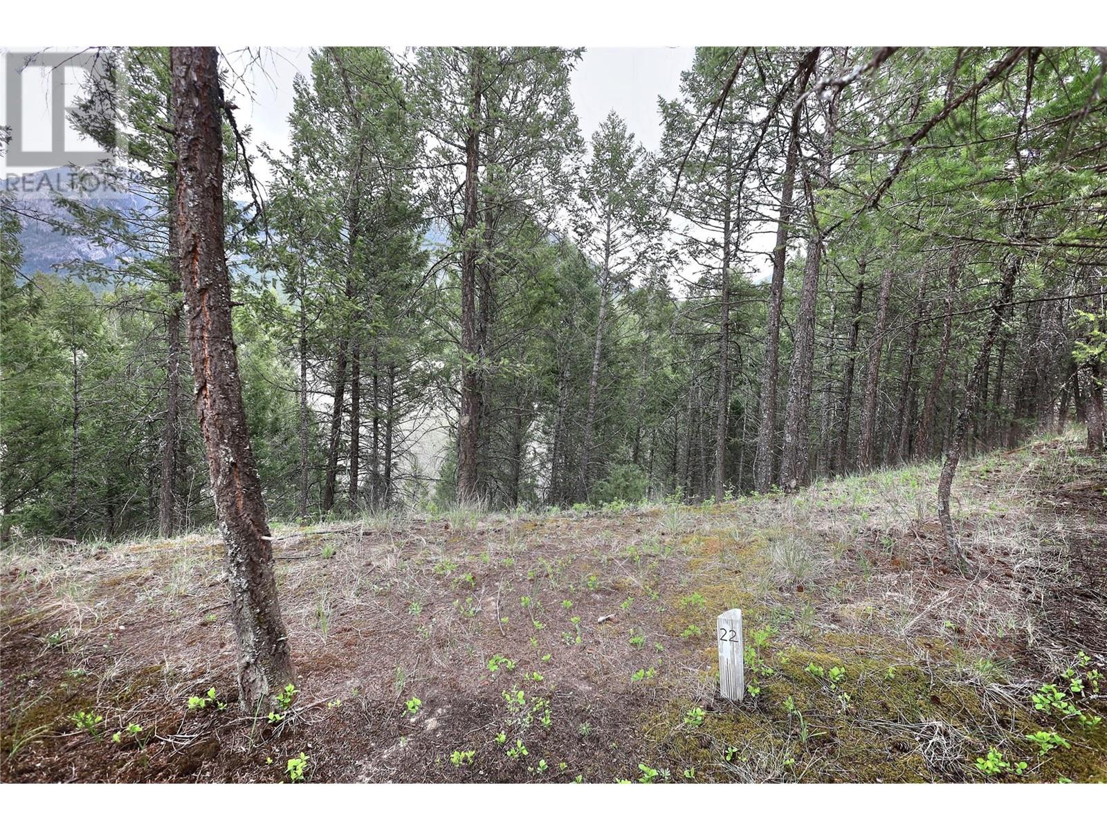 4862 Lynx Drive, Radium Hot Springs, British Columbia  V0A 1M0 - Photo 30 - 10346754