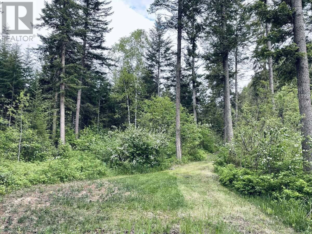967 Jacob Road, Golden, British Columbia  V0A 1H2 - Photo 3 - 10347400