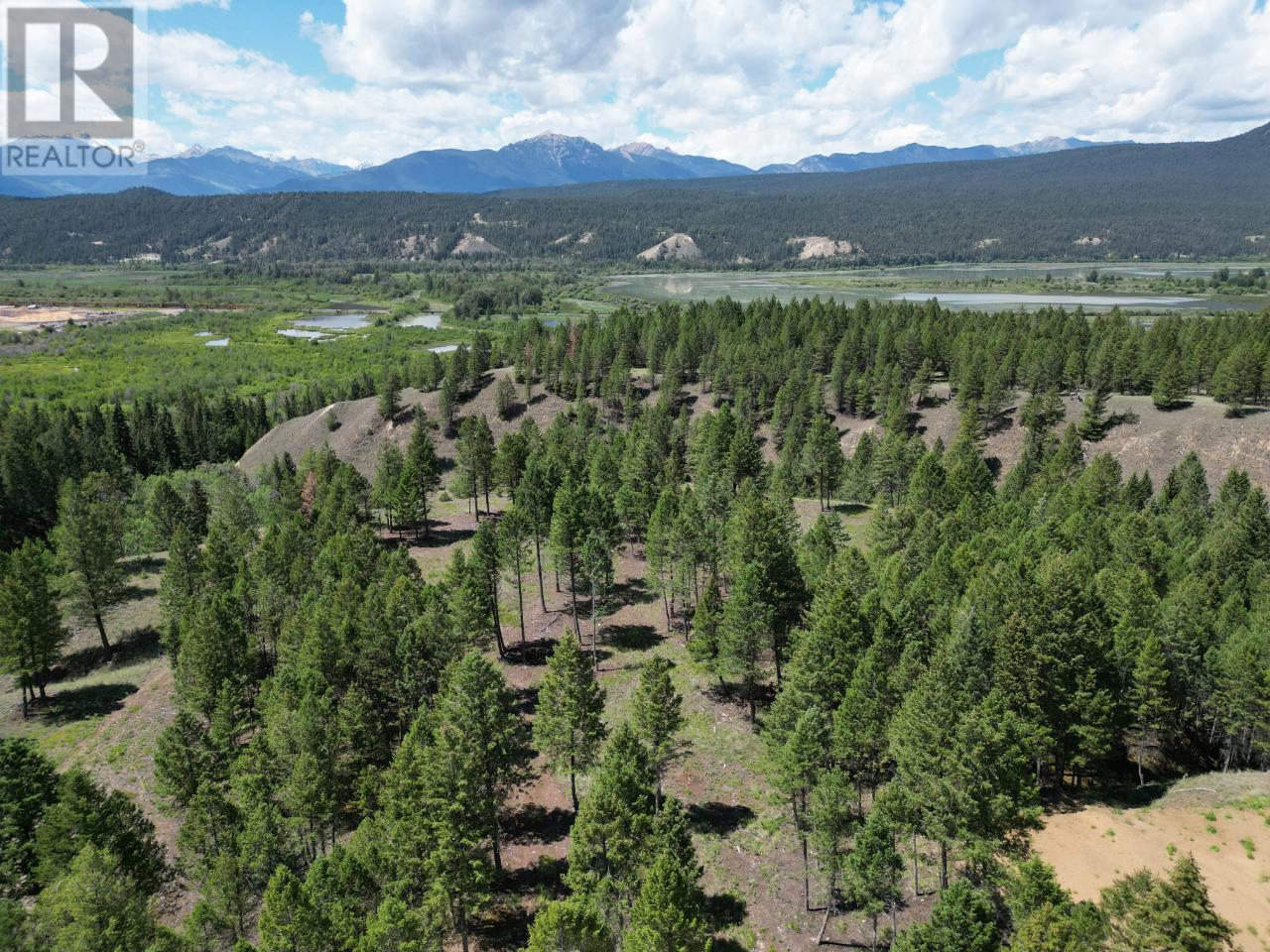 Lot 18 Saddlewood Lane, Radium Hot Springs, British Columbia  V0A 1M0 - Photo 18 - 10347687