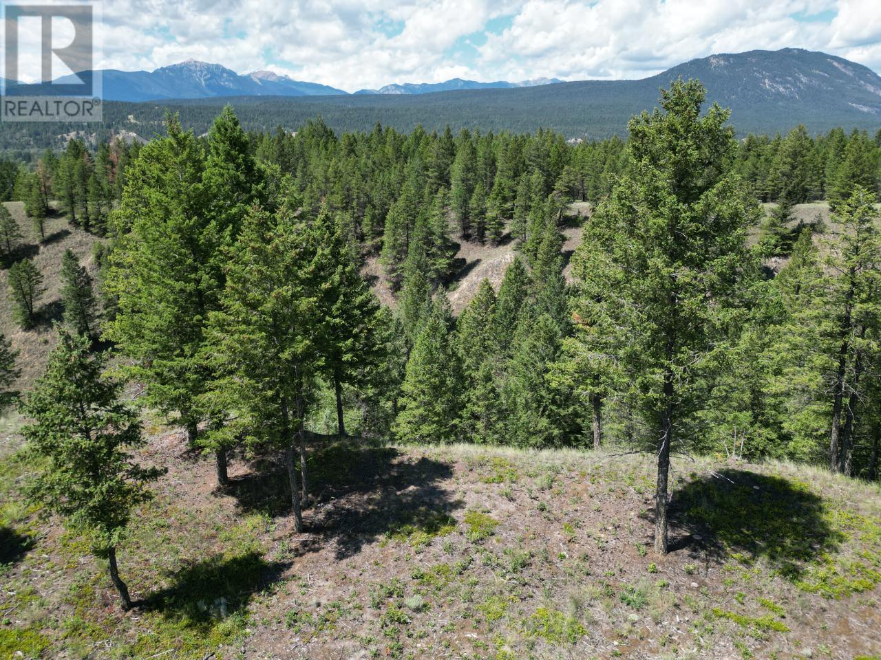 Lot 18 Saddlewood Lane, Radium Hot Springs, British Columbia  V0A 1M0 - Photo 21 - 10347687