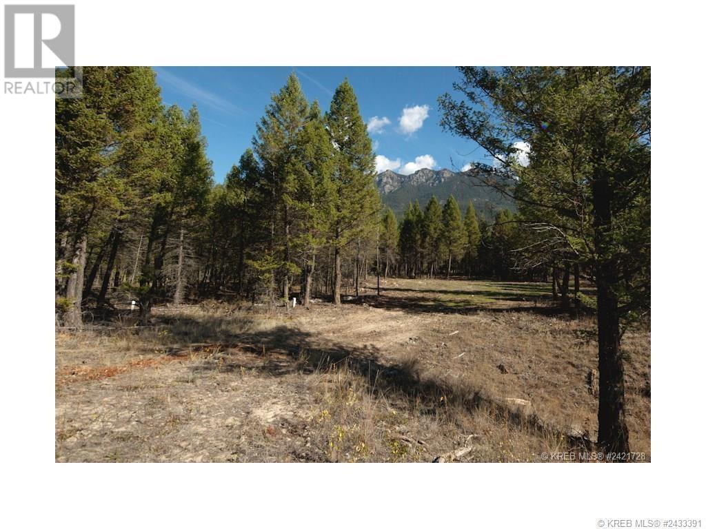 Lot 18 Saddlewood Lane, Radium Hot Springs, British Columbia  V0A 1M0 - Photo 3 - 10347687