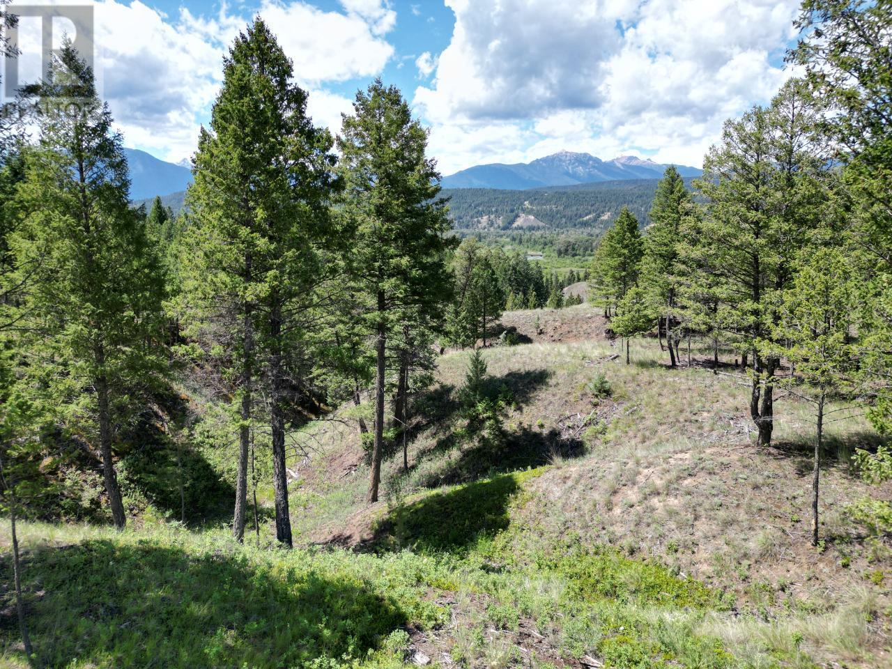 Lot 14 Saddlewood Lane, Radium Hot Springs, British Columbia  V0A 1M0 - Photo 2 - 10347679
