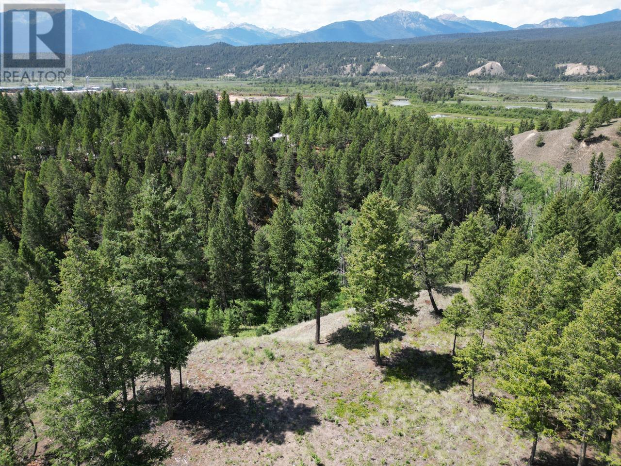 Lot 12 Saddlewood Lane, Radium Hot Springs, British Columbia  V0A 1M0 - Photo 2 - 10347685