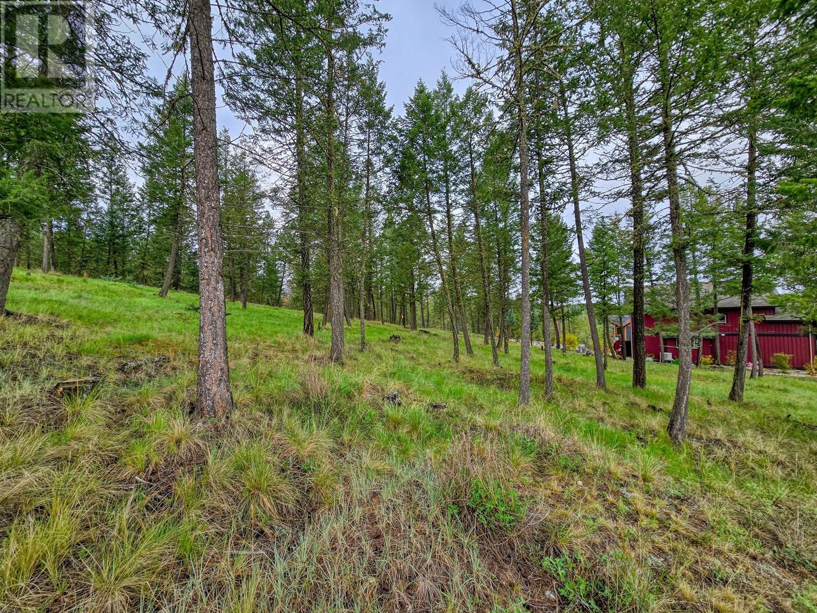 2454 Castlestone Drive, Invermere, British Columbia  V0A 1K6 - Photo 3 - 10346639