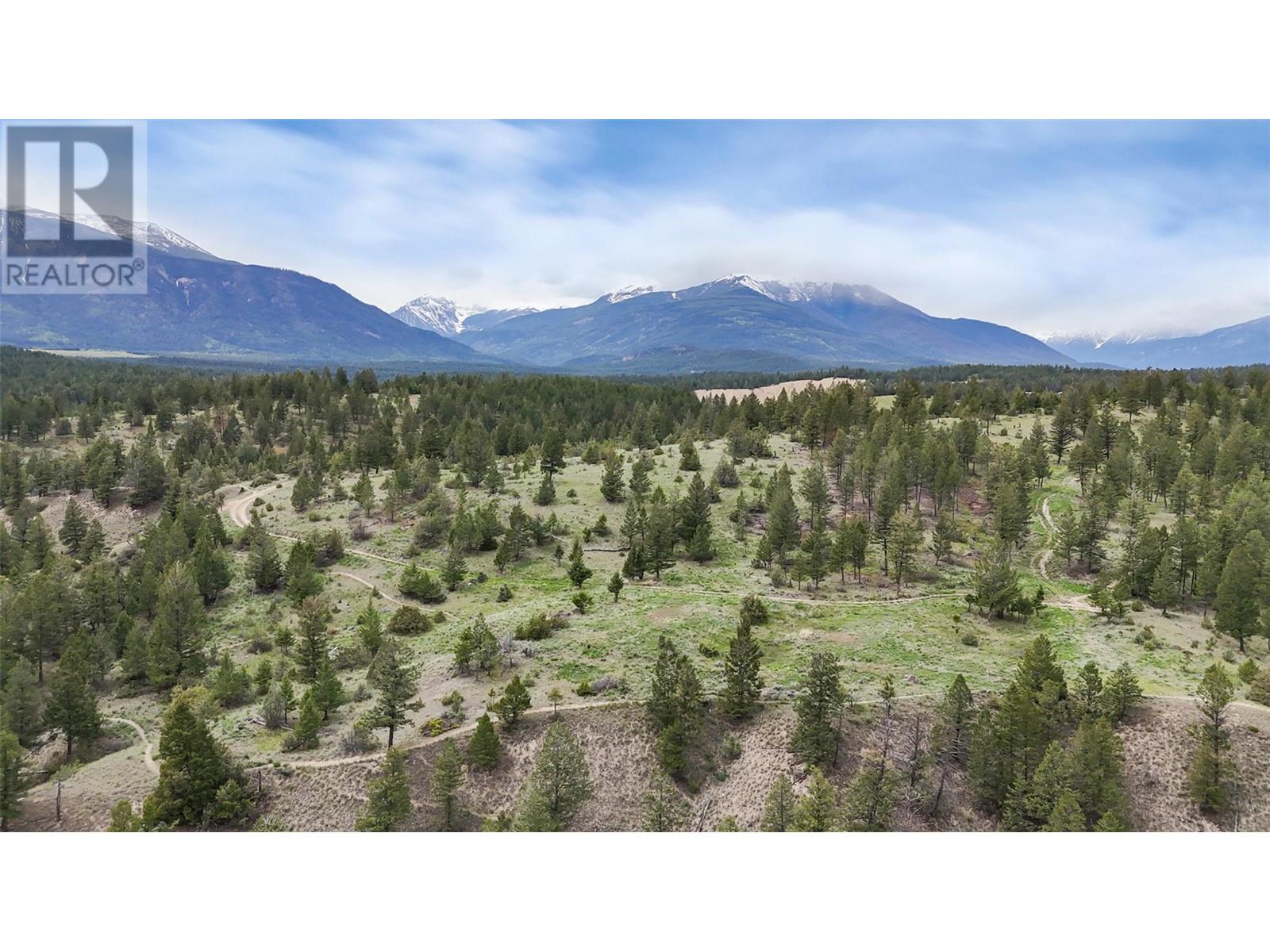 1573 10 Street, Invermere, British Columbia  V0A 1K4 - Photo 35 - 10348508