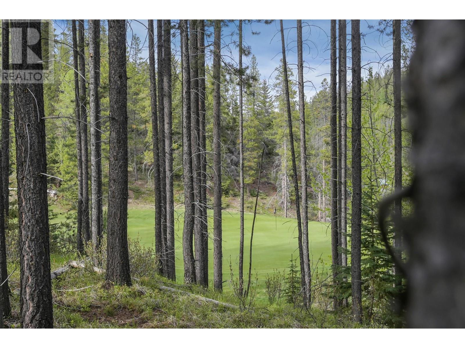 Lot 2 Cliffside Grove, Panorama, British Columbia  V0A 1T0 - Photo 10 - 10348617