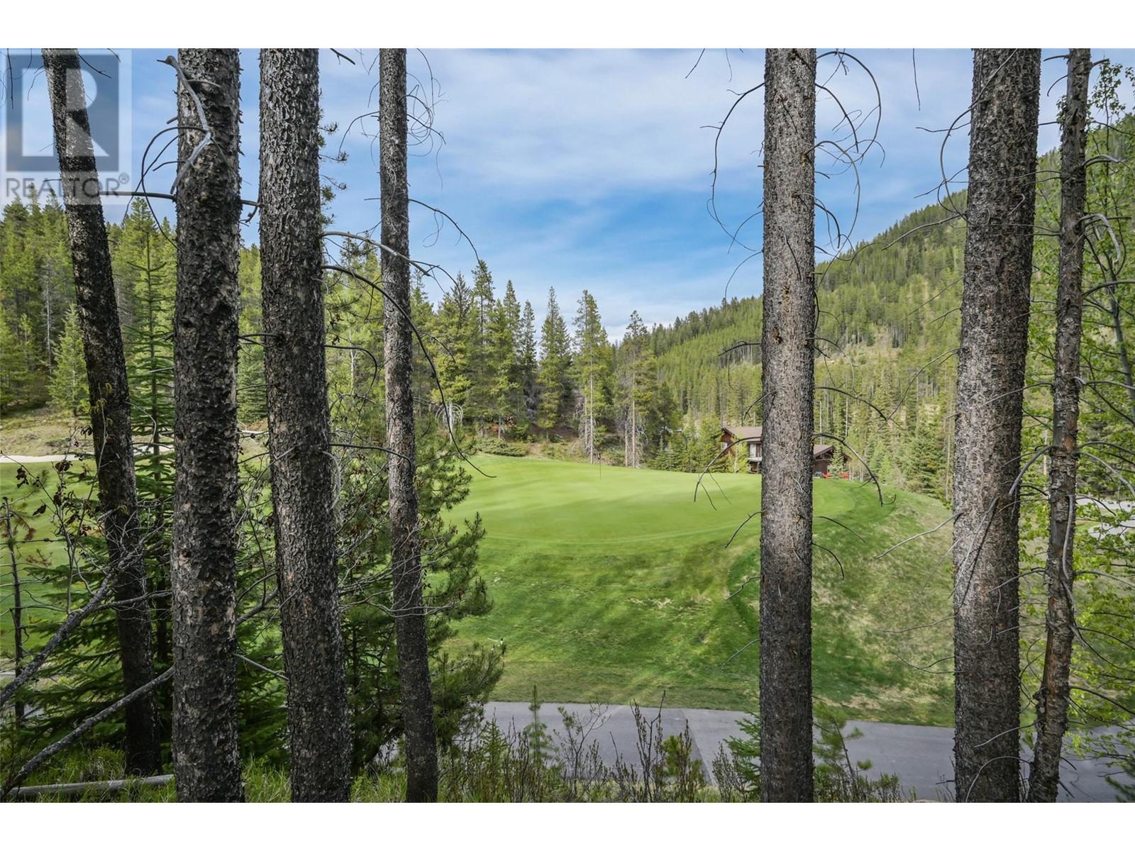 Lot 2 Cliffside Grove, Panorama, British Columbia  V0A 1T0 - Photo 11 - 10348617