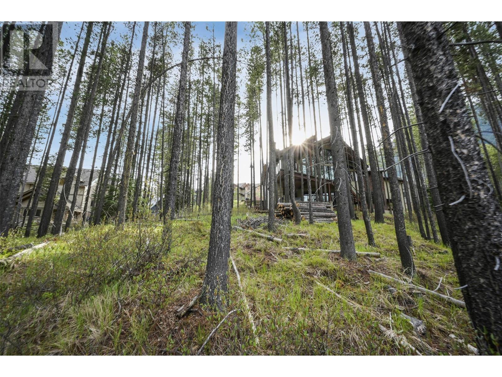Lot 2 Cliffside Grove, Panorama, British Columbia  V0A 1T0 - Photo 12 - 10348617